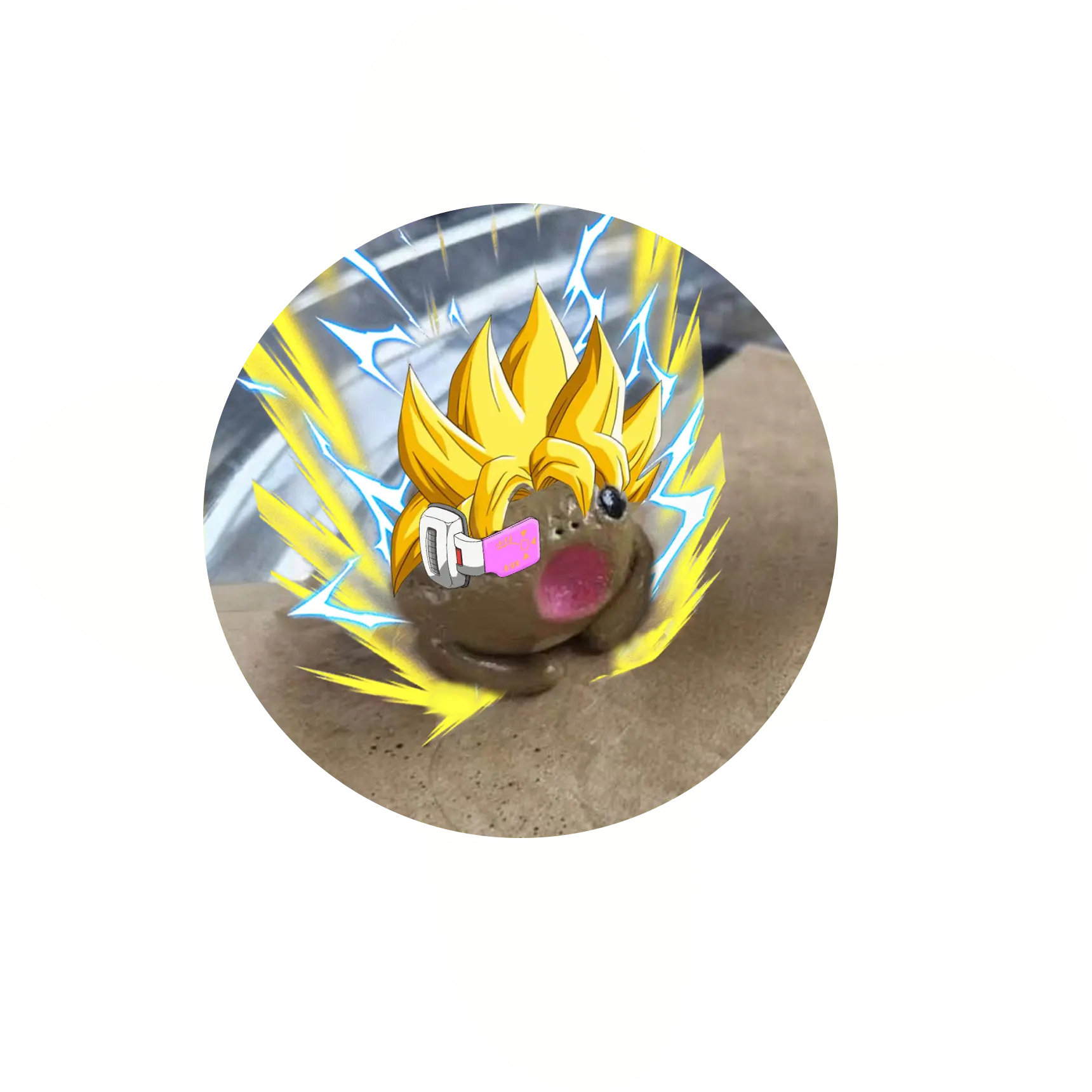about-top-left-popo-flower